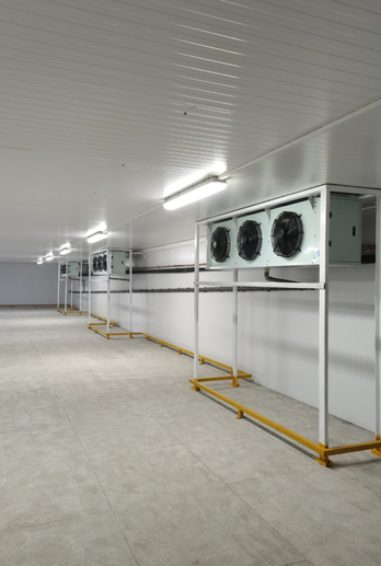 Производство холодильного оборудования на базе холодильного агрегата серии МГА в комплекте с поршневым полугерметичным компрессором  Daming, с конденсатором производства МЕГАХОЛОД для камеры хранения овощей